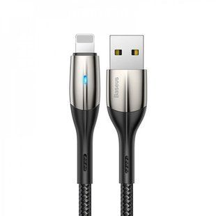 Кабель Baseus Horizontal USB 2.0 to Lightning 1.5A 2M Чорний (CALSP-C01) 16451 фото
