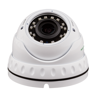 Антивандальна IP камера GV-060-IP-E-DOS30V-30 4943 фото